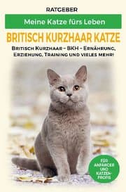 Cover von Britisch Kurzhaar Katze