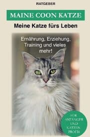 Cover von Maine Coon Katze
