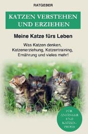 Cover von Katzen erziehen und verstehen