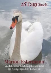 Cover von 28 Tage Buch