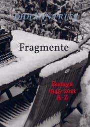 Cover von Fragmente