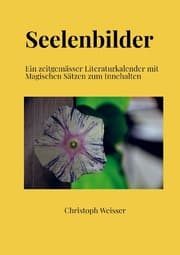 Cover von Seelenbilder