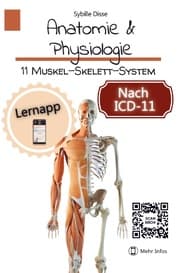 Cover von Anatomie & Physiologie Band 11: Muskel-Skelett-System
