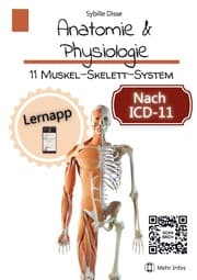Cover von Anatomie & Physiologie Band 11: Muskel-Skelett-System