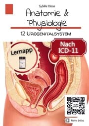 Cover von Anatomie & Physiologie Band 12: Urogenitalsystem