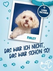Cover von 'Das war ich nicht, das war schon so!' - 10 spannende und lustige Geschichten mit vielen Bildern.