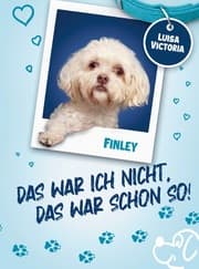 Cover von 'Das war ich nicht, das war schon so!' - 10 spannende und lustige Geschichten mit vielen Bildern.