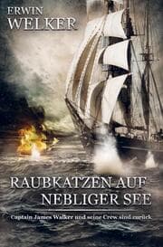 Cover von Raubkatzen auf nebliger See