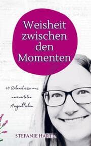Cover von Weisheit zwischen den Momenten