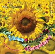 Cover von Vom Samen zur Sonnenblume
