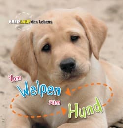 Cover von Vom Welpen zum Hund