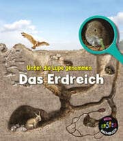 Cover von Das Erdreich