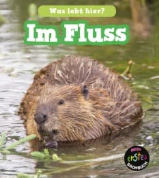 Cover von Im Fluss