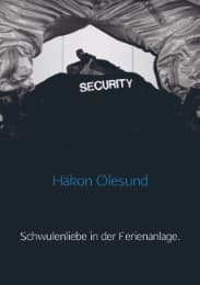 Cover von Schwulenliebe in der Ferienanlage.