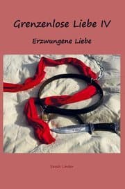 Cover von Grenzenlose Liebe IV