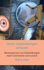 Cover von Durch Inszenierungen schauen