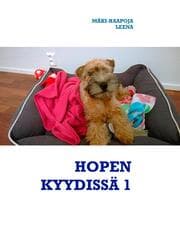 Cover von HOPEN KYYDISSÄ 1