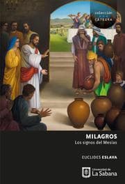 Cover von Milagros