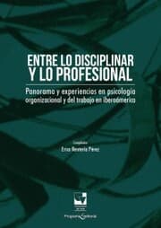 Cover von Entre lo disciplinar y lo profesional