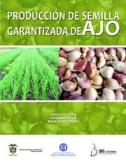 Cover von Producción de semilla garantizada de ajo