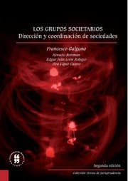 Cover von Los grupos societarios dirección y coordinación de sociedades