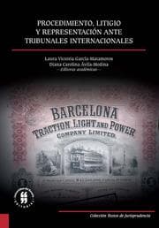 Cover von Procedimiento, litigio y representación ante tribunales internacionales