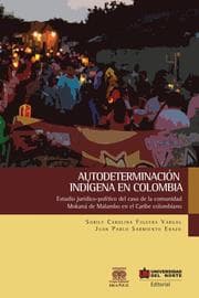 Cover von Autodeterminación indígena en Colombia