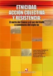 Cover von Etnicidad, acción colectiva y resistencia