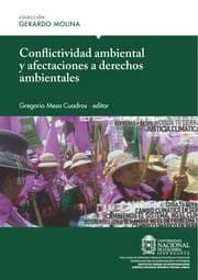 Cover von Conflictividad ambiental y afectaciones a derechos ambientales