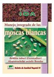 Cover von Manejo integrado de las moscas blancas Bemisia tabaci (Gennadius) Aleurotrachelus socialis Bondar
