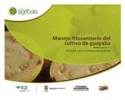 Cover von Manejo fitosanitario del cultivo de la guayaba (Psidium guajava, L) medidas para la temporada invernal