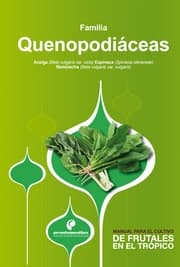 Cover von Manual para el cultivo de hortalizas. Familia Quenopodiáceas