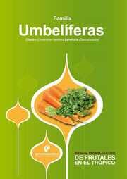 Cover von Manual para el cultivo de hortalizas. Familia Umbelíferas