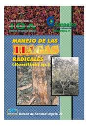 Cover von Manejo de las llagas radicales (Rosellinia sp.)