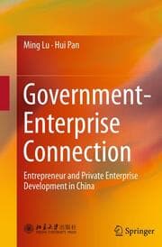 Cover von Government-Enterprise Connection