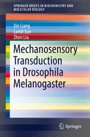Cover von Mechanosensory Transduction in Drosophila Melanogaster