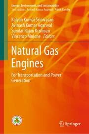 Cover von Natural Gas Engines