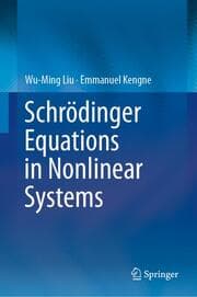 Cover von Schrödinger Equations in Nonlinear Systems
