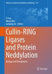 Cover von Cullin-RING Ligases and Protein Neddylation