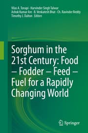 Cover von Sorghum in the 21st Century: Food - Fodder - Feed - Fuel for a Rapidly Changing World