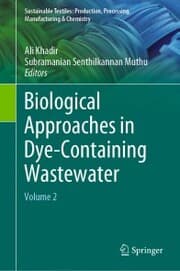 Cover von Biological Approaches in Dye-Containing Wastewater
