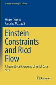 Cover von Einstein Constraints and Ricci Flow