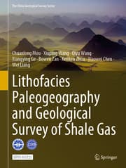 Cover von Lithofacies Paleogeography and Geological Survey of Shale Gas