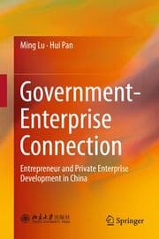 Cover von Government-Enterprise Connection