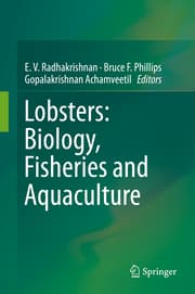 Cover von Lobsters: Biology, Fisheries and Aquaculture