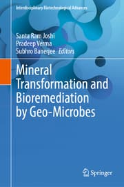 Cover von Mineral Transformation and Bioremediation by Geo-Microbes