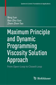 Cover von Maximum Principle and Dynamic Programming Viscosity Solution Approach