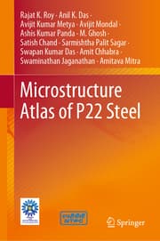 Cover von Microstructure Atlas of P22 Steel
