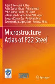 Cover von Microstructure Atlas of P22 Steel