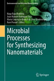 Cover von Microbial Processes for Synthesizing Nanomaterials